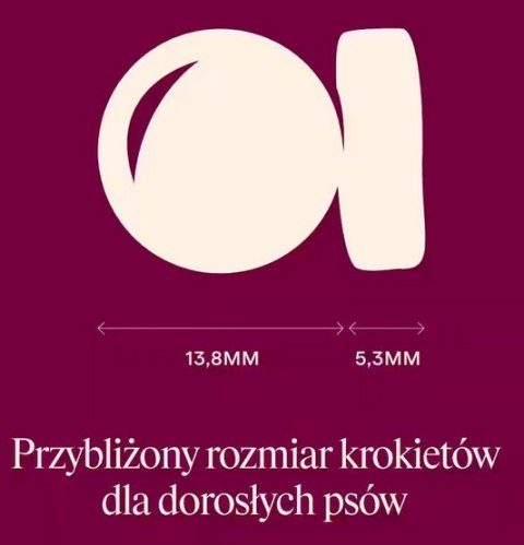Carnilove Carnilove Dog Active Venison & Reindeer Adult - dziczyzna i renifer 1,5kg