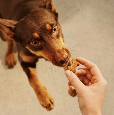 Carnilove Carnilove Dog Crunchy Snack Ostrich 200g