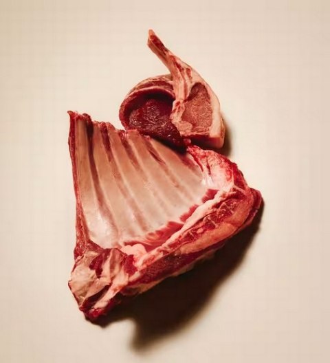 Carnilove Carnilove Dog Jerky Lamb & Salmon - jagnięcina i łosoś 100g
