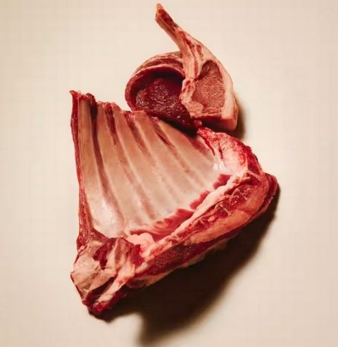 Carnilove Carnilove Dog Lamb & Wild Boar Adult - jagnię i dzik puszka 400g