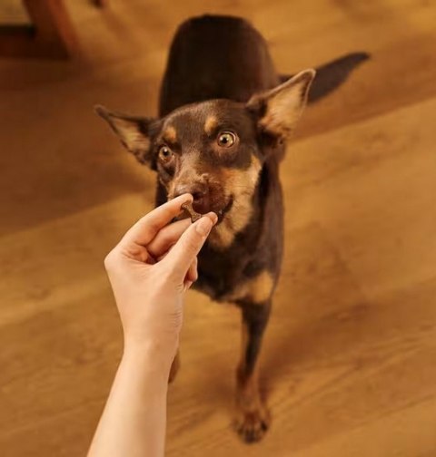 Carnilove Carnilove Dog Soft Snack Duck 200g