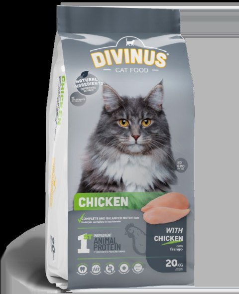 Divinus Cat Meat Chicken dla kotów dorosłych 2kg Divinus
