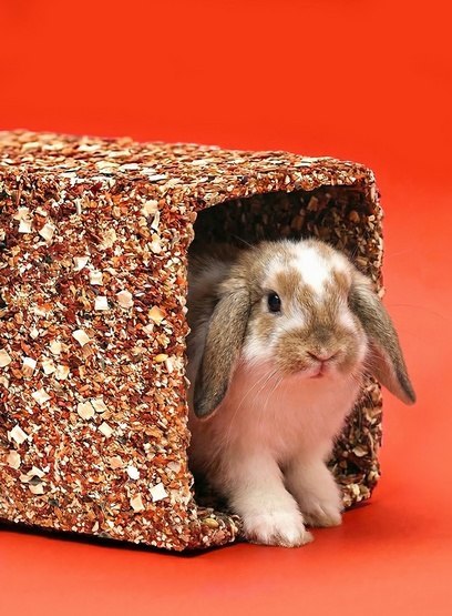Little One Little One Tunel warzywny duży 410g