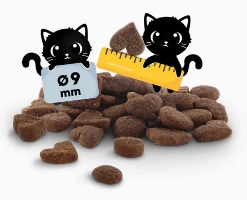 Lucky Lou Lucky Lou Food Code Lifestage Kitten Drób & Kurczak 1,7kg