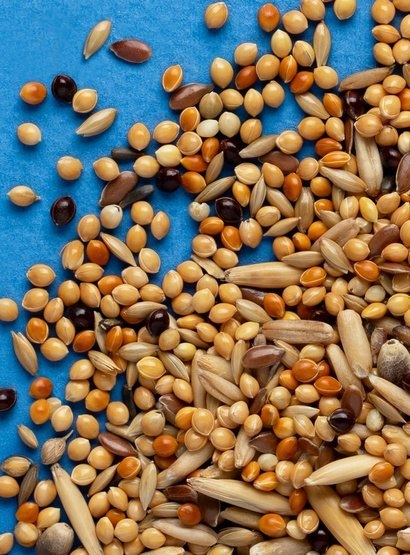 Rio Rio Pokarm dla papużki falistej 1kg