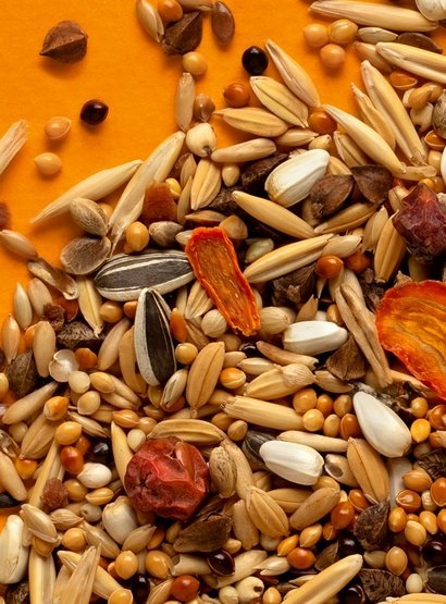 Rio Rio Pokarm dla średnich papug 1kg