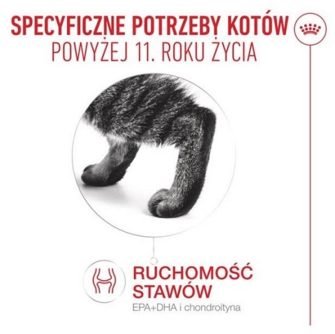 Royal Canin Feline Royal Canin Ageing +11 karma mokra dla kotów dojrzałych w galaretce saszetka 85g