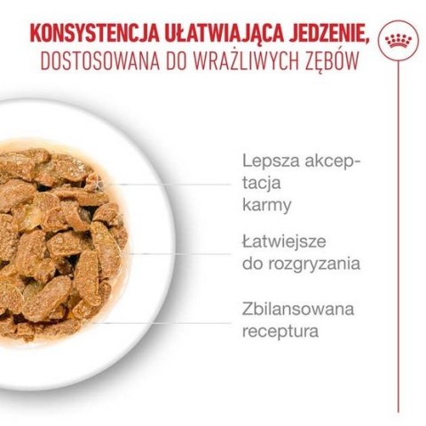 Royal Canin Feline Royal Canin Ageing +11 karma mokra dla kotów dojrzałych w galaretce saszetka 85g