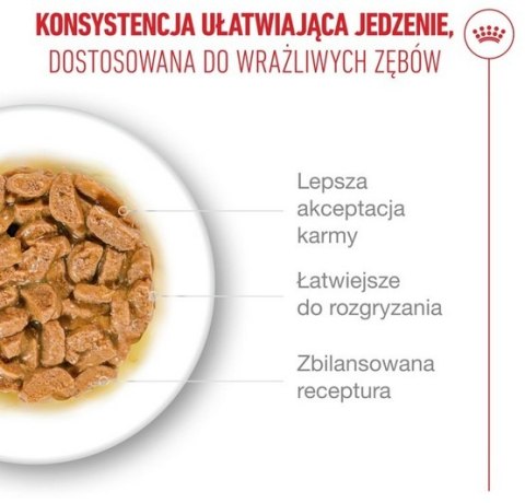 Royal Canin Feline Royal Canin Ageing +15 karma mokra dla kotów dojrzałych w sosie saszetka 85g