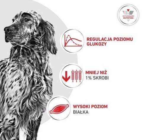 Royal Canin Veterinary Diet Royal Canin Veterinary Diet Canine Glycobalance Low Carbohydrate Loaf puszka 410g