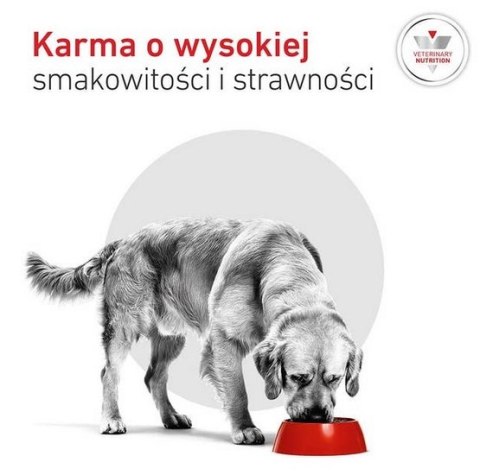 Royal Canin Veterinary Diet Royal Canin Veterinary Diet Canine Glycobalance Low Carbohydrate Loaf puszka 410g