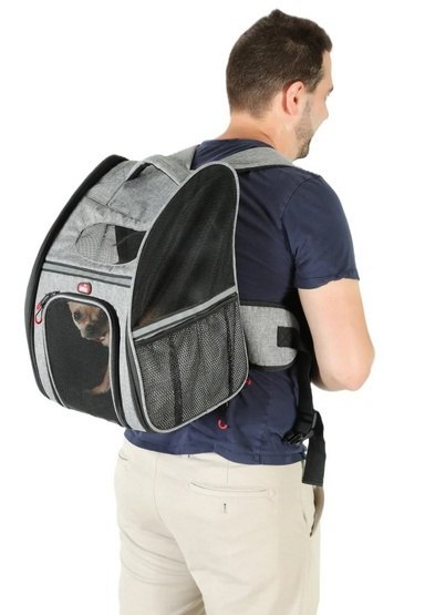 Zolux Zolux Nomad Plecak do transportu psa i kota