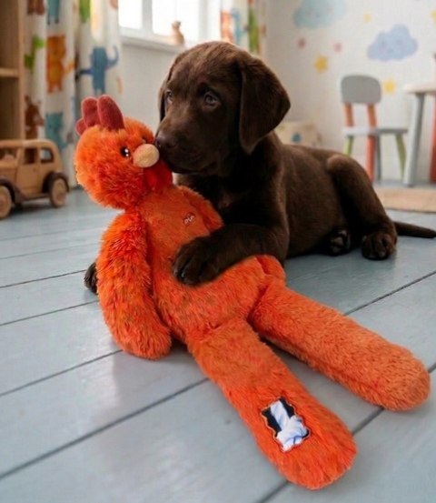 Zolux Zolux Zabawka pluszowa Furry Farm Kogut Brock 60cm