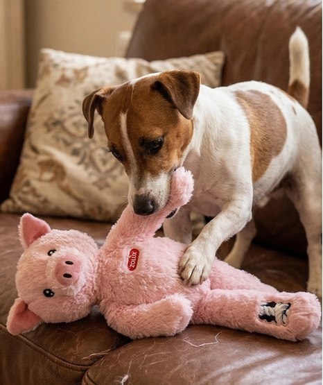 Zolux Zolux Zabawka pluszowa Furry Farm Świnka Jason 33cm