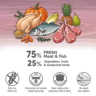 ARQUIVET FRESH półwilgotny przysmak z jagnięciną 800g Arquivet Fresh