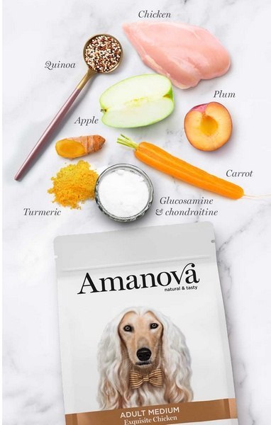 Amanova Amanova Dog Adult Medium Exquisite Chicken - kurczak 12kg [termin ważności: 20.09.2026]