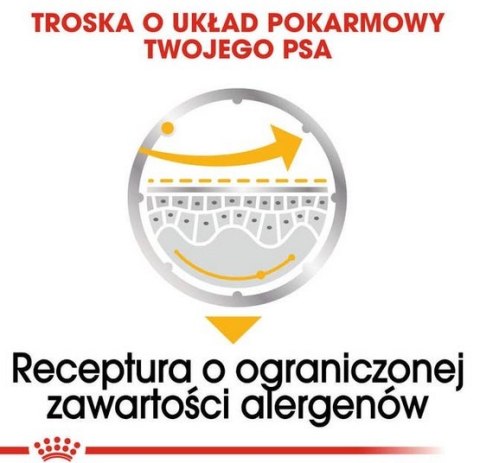 Royal Canin Size Royal Canin Dermacomfort Loaf karma mokra - pasztet, dla psów dorosłych wszystkich ras saszetka 85g