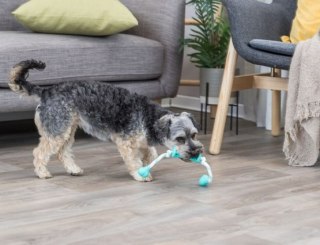Trixie Trixie Gryzak Dentafun Rolka ze sznurkiem o zapachu mięty [TX-33771]