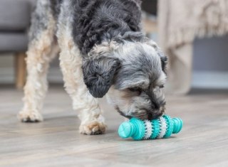 Trixie Trixie Wałek gumowy z miętą Dentafun 11cm [32943]