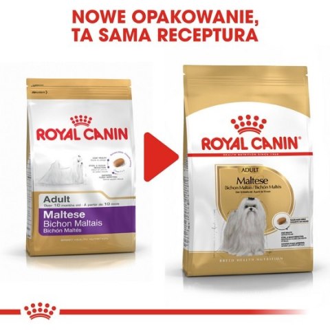 Royal Canin Breed Royal Canin Maltese Adult karma sucha dla psów dorosłych rasy maltańczyk 500g