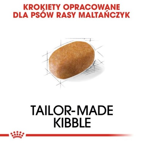Royal Canin Breed Royal Canin Maltese Adult karma sucha dla psów dorosłych rasy maltańczyk 500g