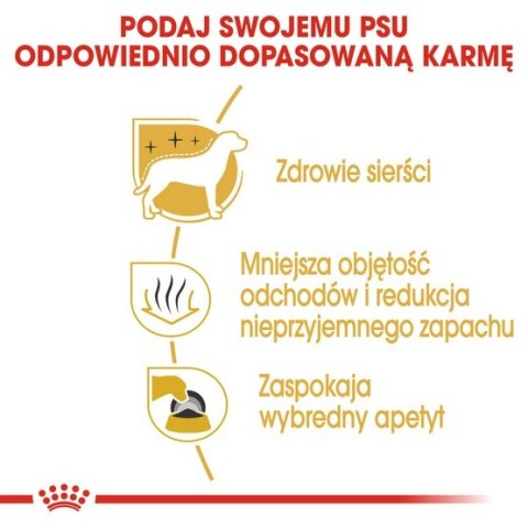 Royal Canin Breed Royal Canin Maltese Adult karma sucha dla psów dorosłych rasy maltańczyk 500g