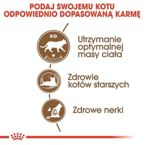 Royal Canin Feline Royal Canin Ageing +12 Sterilised karma sucha dla kotów dojrzałych, sterylizowanych 2kg