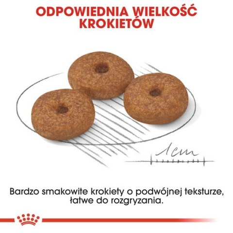 Royal Canin Size Royal Canin Mini Ageing 12+ karma sucha dla psów dojrzałych po 12 roku życia, ras małych 1,5kg