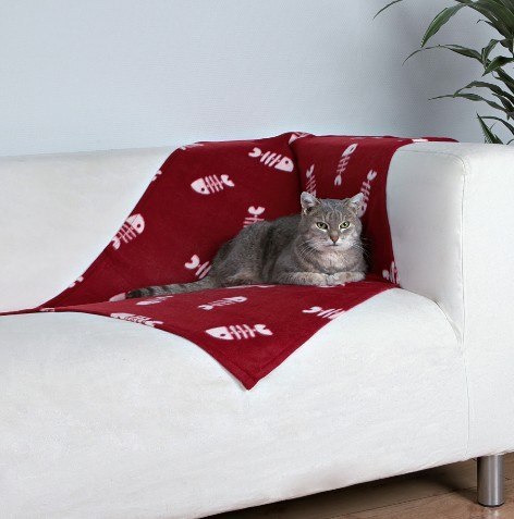 Trixie Trixie Koc 100x70cm Bordowy w białe ryby [37193]