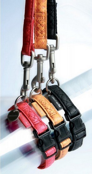 Zolux Zolux Smycz Mac Leather 25mm/1.2m Czarna [522025NO]