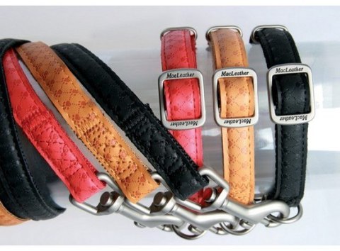 Zolux Zolux Smycz Mac Leather 25mm/1.2m Czarna [522025NO]