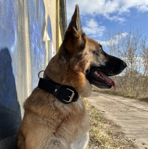 Dingo Dingo Obroża specjalna z taśmy 4,0x55-65cm czarna