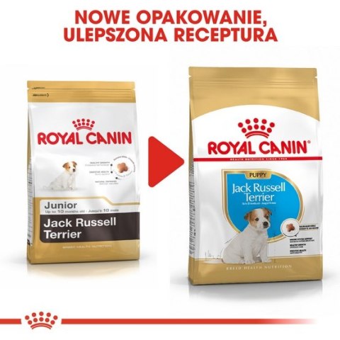 Royal Canin Breed Royal Canin Jack Russell Terrier Puppy karma sucha dla szczeniąt do 10 miesiąca, rasy jack russell terrier 1,5kg