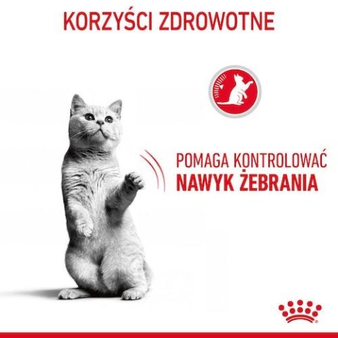 Royal Canin Feline Royal Canin Appetite Control Care karma sucha dla kotów dorosłych, domagających się jedzenia 400g