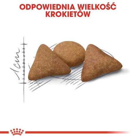 Royal Canin Feline Royal Canin Indoor Appetite Control karma sucha dla kotów dorosłych, przebywających w domu, domagających się jedzenia 2kg