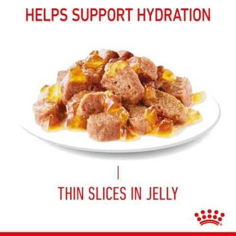 Royal Canin Feline Royal Canin Light Weight Care w galaretce karma mokra dla kotów dorosłych, z tendencją do nadwagi saszetka 85g