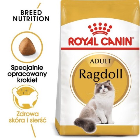 Royal Canin Feline Royal Canin Ragdoll Adult karma sucha dla kotów dorosłych rasy ragdoll 400g