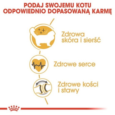 Royal Canin Feline Royal Canin Ragdoll Adult karma sucha dla kotów dorosłych rasy ragdoll 400g