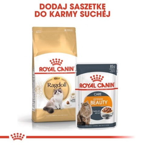 Royal Canin Feline Royal Canin Ragdoll Adult karma sucha dla kotów dorosłych rasy ragdoll 400g