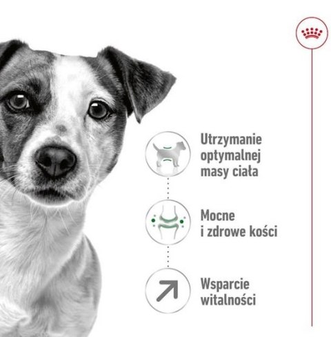 Royal Canin Size Royal Canin Mini Adult 8+ karma sucha dla psów starszych od 8 do 12 roku życia, ras małych 800g