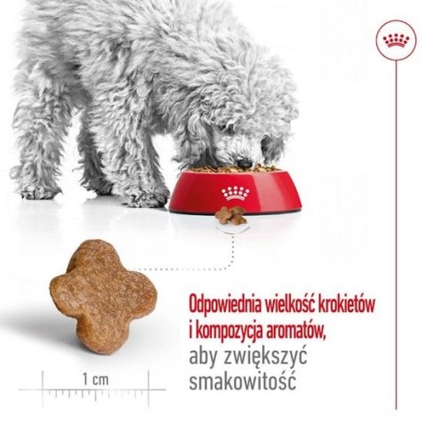 Royal Canin Size Royal Canin Mini Adult 8+ karma sucha dla psów starszych od 8 do 12 roku życia, ras małych 800g