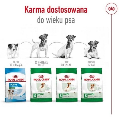 Royal Canin Size Royal Canin Mini Adult 8+ karma sucha dla psów starszych od 8 do 12 roku życia, ras małych 800g
