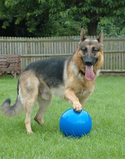 Boomer Ball Boomer Ball XL - 10" / 25cm niebieska