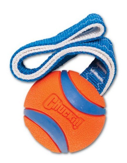 Chuckit! Chuckit! Ultra Tug Medium [231201]