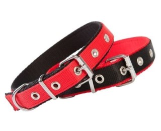 Dingo Dingo Obroża taśma polipropylenowa podwójnie zszywana 2,5cm/55cm czarno-czerwona