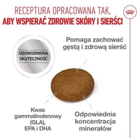 Royal Canin Feline Royal Canin Hair&Skin Care karma sucha dla kotów dorosłych, lśniąca sierść i zdrowa skóra 400g