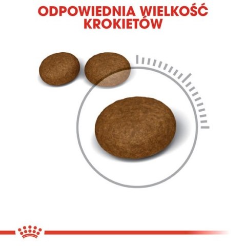 Royal Canin Feline Royal Canin Hair&Skin Care karma sucha dla kotów dorosłych, lśniąca sierść i zdrowa skóra 400g
