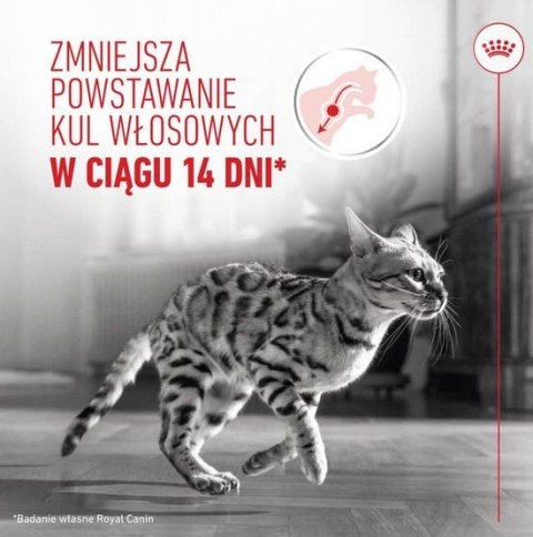 Royal Canin Feline Royal Canin Hairball Care karma sucha dla kotów dorosłych, eliminacja kul włosowych 2kg