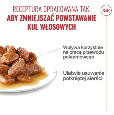 Royal Canin Feline Royal Canin Hairball Care w sosie karma mokra w sosie dla kotów dorosłych, eliminacja kul włosowych saszetka 85g