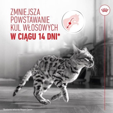 Royal Canin Feline Royal Canin Hairball Care w sosie karma mokra w sosie dla kotów dorosłych, eliminacja kul włosowych saszetka 85g